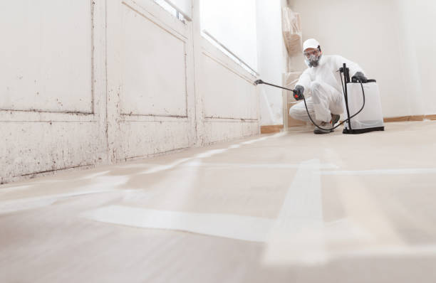 24/7 Emergency Commercial Mold Remediation experts in Hudsonville, MI